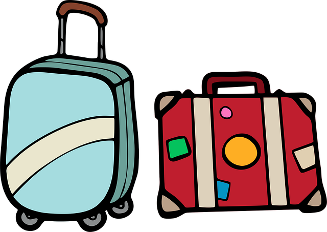 kufr a zavazadlo